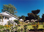 Art & Garden Center